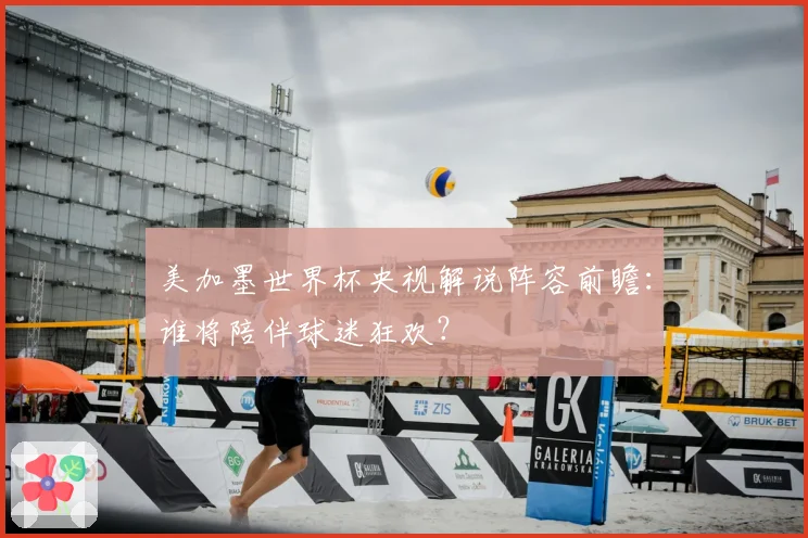 美加墨世界杯央视解说阵容前瞻：谁将陪伴球迷狂欢？