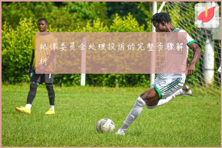 纪律委员会处理投诉的完整步骤解析