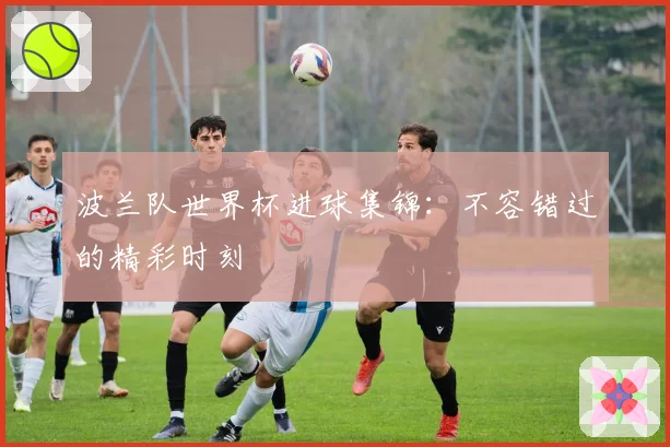 波兰队世界杯进球集锦：不容错过的精彩时刻