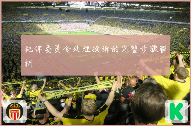纪律委员会处理投诉的完整步骤解析